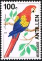 Scarlet Macaw (Ara macao)